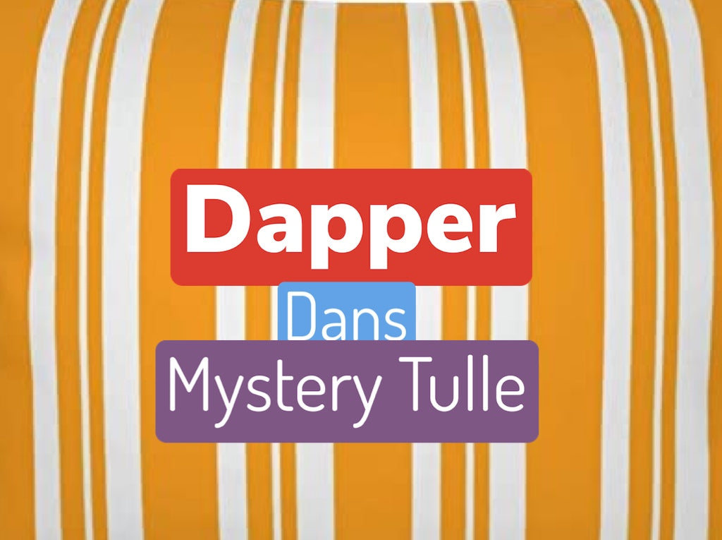 Dans Mystery Tulle